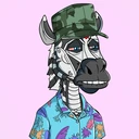 ZESTYZEBRA3995
