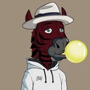 ZESTYZEBRA2062