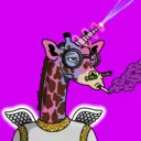 GenuineGiraffe_3541