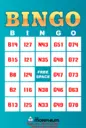 BINGOCARD9...