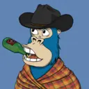 ChilledKong4679