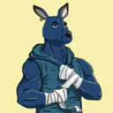 kangaroofightsociety#3316