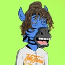 ZESTYZEBRA573