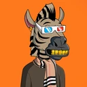 ZESTYZEBRA1019