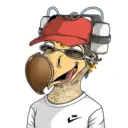 DoDo #2554