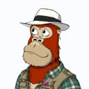 ChilledKong6537