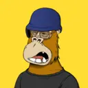 ChilledKong7970