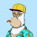 ChilledKong5749