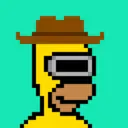 HomerPunks7502