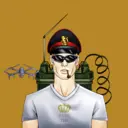 TheRoyalBattalion9516