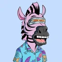 ZESTYZEBRA5443