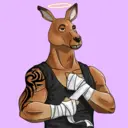 kangaroofightsociety#4871