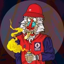 TheMandrillz6477