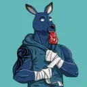 kangaroofightsociety#3128