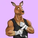 kangaroofightsociety#1735