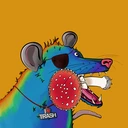 Possum #3779