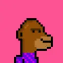 MonkeyWifhat2359