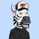 ZESTYZEBRA1258