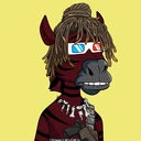ZESTYZEBRA2034