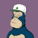 ChilledKong7468