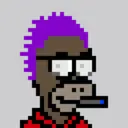 HomerPunks4146