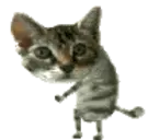 CATY