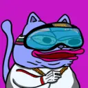 CHONKS732