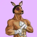 kangaroofightsociety#2455