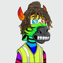 ZESTYZEBRA4636