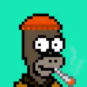 HomerPunks5348