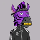 ZESTYZEBRA5255