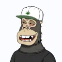 ChilledKong4248