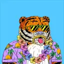 Tigerz1003