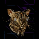Prey #11613