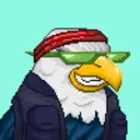 Hawk #0970