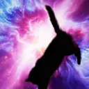 Zero Gravity Cat