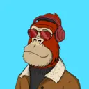 ChilledKong5754