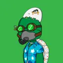 TTSTurtle4662