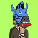 ZESTYZEBRA2952