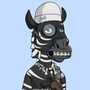 ZESTYZEBRA4633