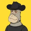ChilledKong1078