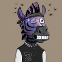 ZESTYZEBRA4429