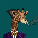 GenuineGiraffe_3950