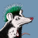 Possum #2655