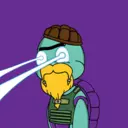 TTSTurtle4929