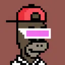 HomerPunks8562