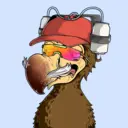 DoDo #1428