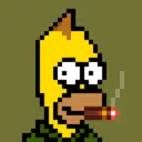 HomerPunks4496