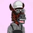 ZESTYZEBRA1766
