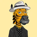 ZESTYZEBRA1369
